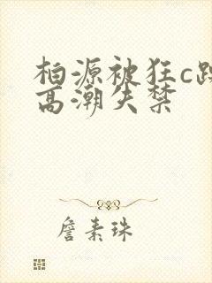 柏源被狂c躁到高潮失禁封面