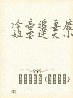 冷帝追妻废材小姐要逆天小说完整