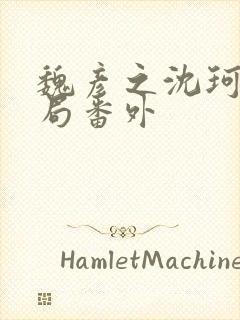 魏彦之沈珂大结局番外