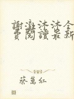 谢澈沐沐全文免费阅读最新章节