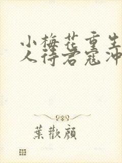 小梅花重生之美人待君寇冲封面