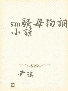 sm骚母狗调教小说
