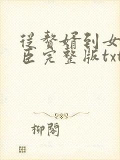 从赘婿到女帝宠臣完整版txt