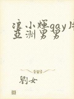 浪小辉gay片亚洲男男封面