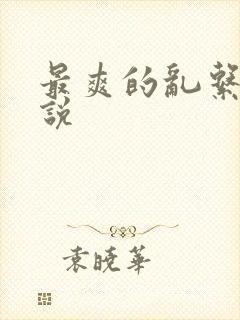 最爽的乱系列小说