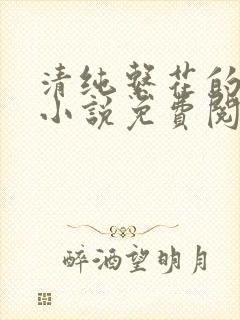 清纯系花的张燕小说免费阅读