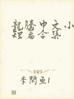 龙腾中文小说网短篇合集