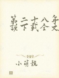 第二十八年春小说下载全文封面