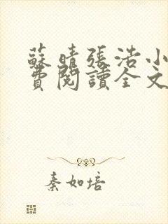 苏晴张浩小说免费阅读全文封面