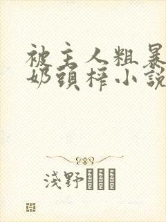 被主人粗暴玩弄奶头榨小说