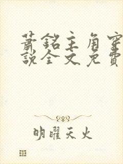 萧铭主角穿越小说全文免费阅读