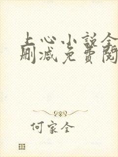 上心小说全文无删减免费阅读