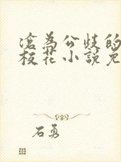 沧为公歧的清纯校花小说免费