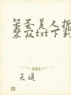 笨蛋美人折花记裴寂txt下载