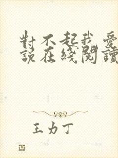 对不起我爱你小说在线阅读