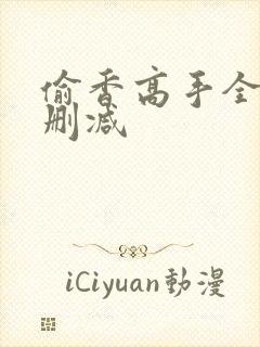 偷香高手全文无删减封面