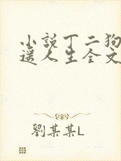 小说丁二狗的逍遥人生全文阅读