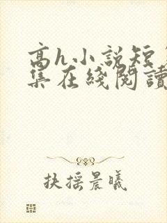 高h小说短篇合集在线阅读