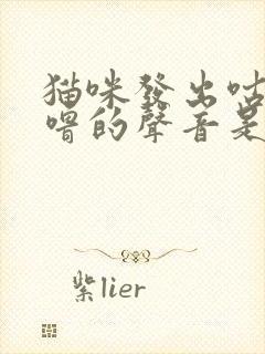 猫咪发出咕噜咕噜的声音是怎么回事