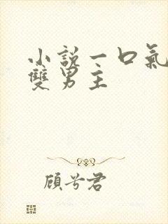 小说一口气看完双男主