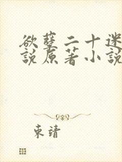 欲孽二十迷川小说原著小说