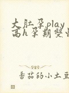 大肚孕play高h孕期双性