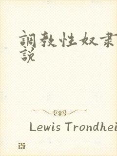 调教性奴隶的小说