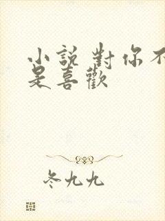 小说 对你不止是喜欢