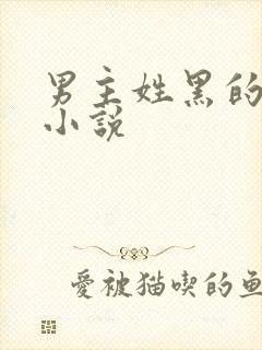 男主姓黑的总裁小说