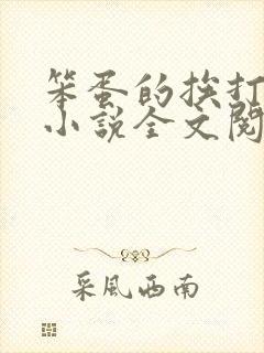 笨蛋的挨打日常小说全文阅读免费封面