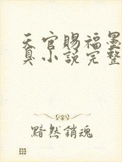 天官赐福墨香铜臭小说完整版下载txt