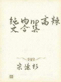 纯肉np高辣h文合集