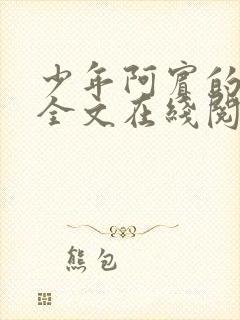 少年阿宾的故事全文在线阅读免费