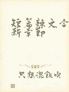 短篇辣文合集最新章节
