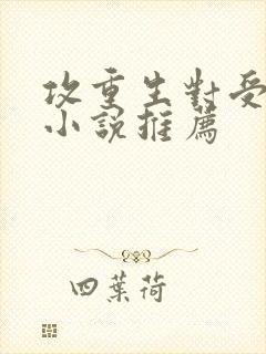 攻重生对受好的小说推荐