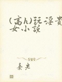 (高h)玩淫贵女小说