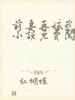 前妻再嫁我一次小说免费阅读