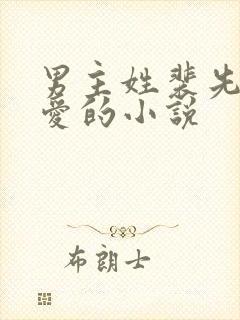 男主姓裴先婚后爱的小说封面