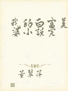 我的白富美的老婆小说完