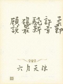 顾砚骁许柔汐小说最新章节更新时间