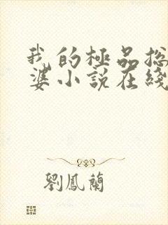 我的极品总裁老婆小说在线阅读封面