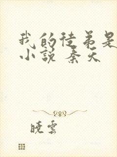 我的徒弟是女帝小说 秦天