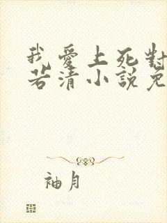 我爱上死对头裴若清小说免费阅读最