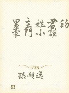 男主姓君的现代豪门小说