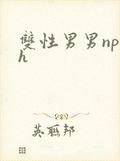 双性男男np高h封面