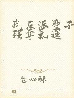 我反派圣子开局强夺气运