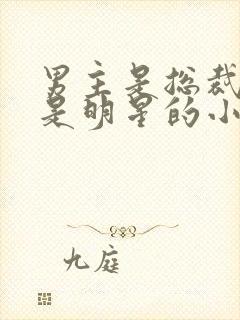 男主是总裁女主是明星的小说封面