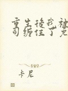 重生后我被前上司缠住了免费阅读