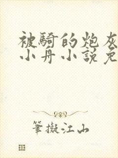 被骑的炮灰by小舟小说免费阅读