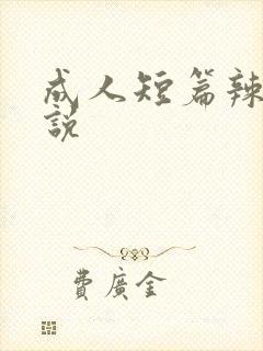 成人短篇辣文小说